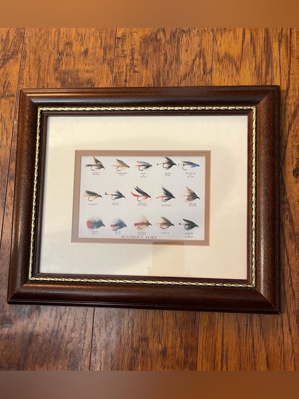 Vtg Seatrout Flies Print